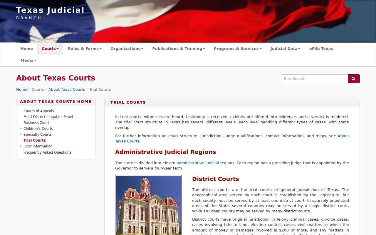 San Patricio County arrest warrants, Texas trial court structure